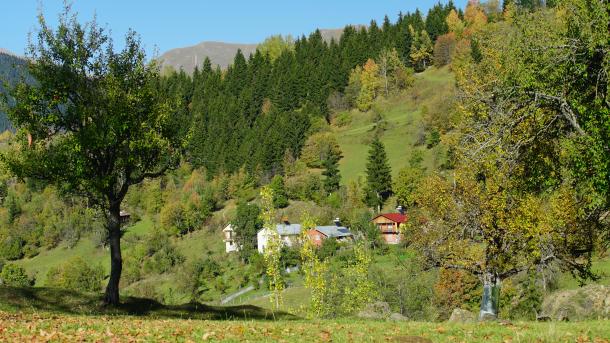 artvin12