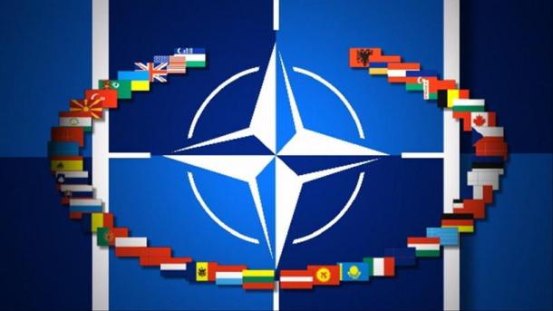 NATO_ülke bayrakları.jpg