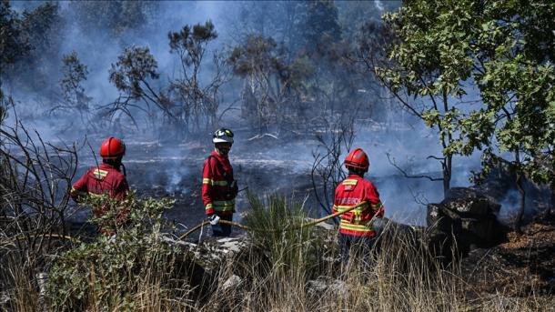 Portugal declara nível máximo de risco em mais de 100 concelhos devido a incêndios florestais