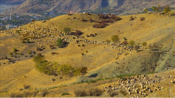 Hikaya za Anatolia