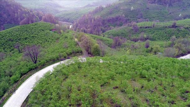 زیبایی بهار و روییش دوباره درقاره دینیزترکیه
