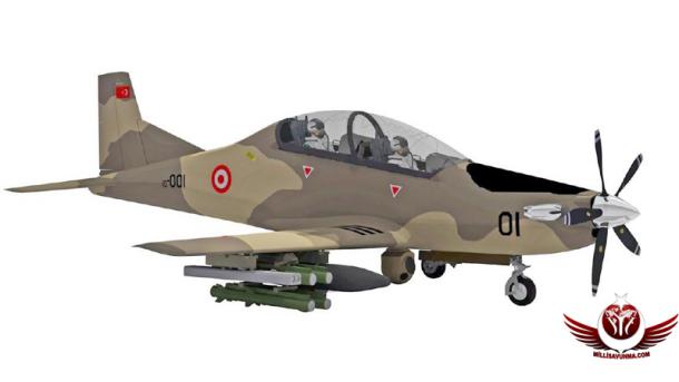 hurkus-c-3.jpg