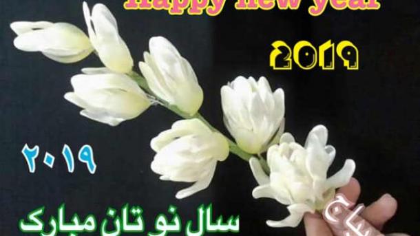 ویژه برنامه یی سال میلادی 2019