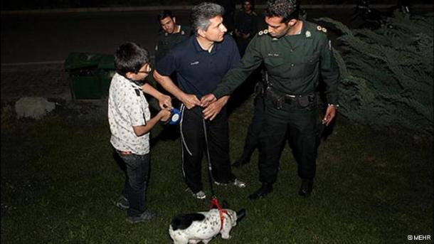 نیروی انتظامی سگهای خانگی شاهین شهر را با ورود بدون مجوز به خانه ها جمع اوری کرد