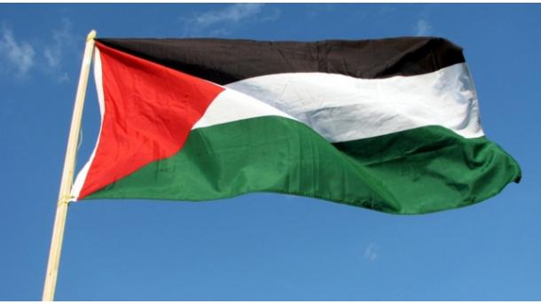 Les raisons politiques de la question palestinienne (Etude)