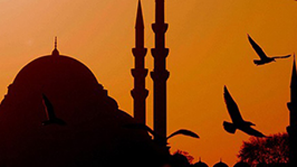 Nogayşa 205: Miraş’tıñ meyvaları em paydaları ne bolgan? (1)