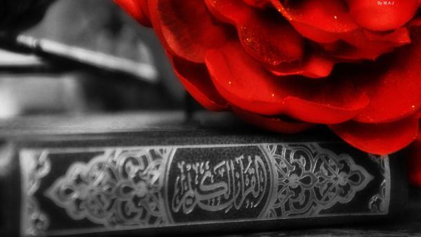 كاپىرلارغا دۇنيا تىرىكچىلىكى چىرايلىق كۆرسىتىلدى