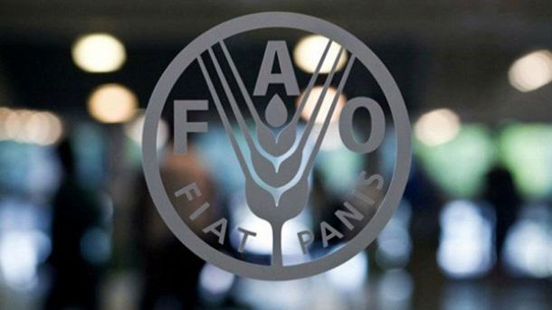 La desnutrición crónica en Guatemala impacta al 66 por ciento más pobre
