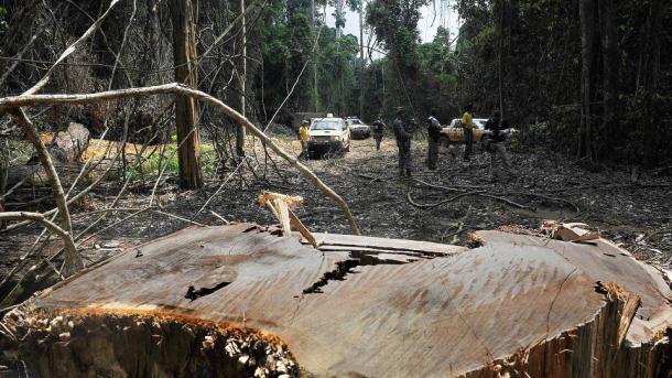 São incendiados escritórios ambientais no Brasil