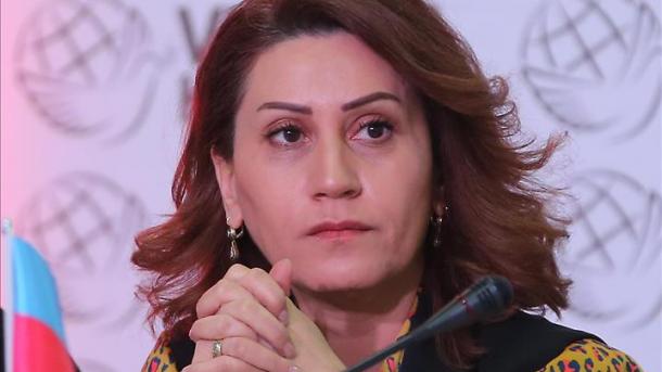 هنرمند آذربایجانی: مردم قره باغ و سوریه درد مشترک دارند