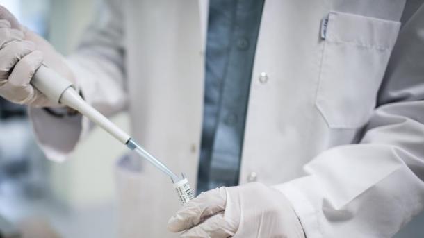 Índia e Marrocos enfrentam a ameaça da gripe suína