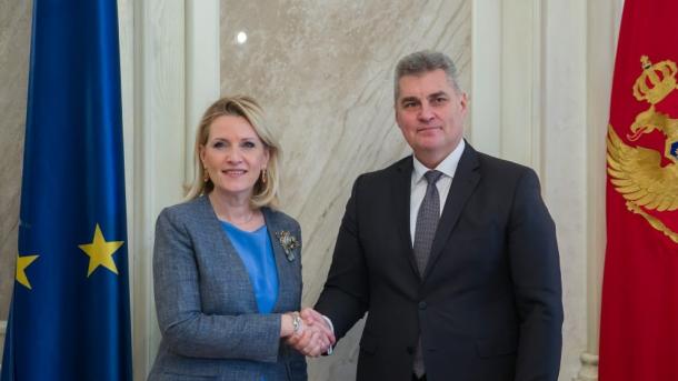 Një delegacion nga Komisioni për Politikën e Jashtme i Shqipërisë zhvilloi vizitë zyrtare në Podgoricë