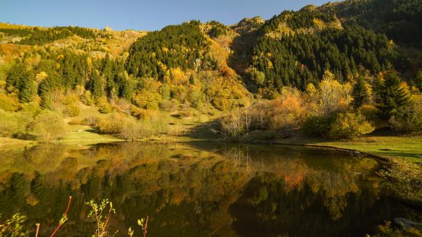 artvin7