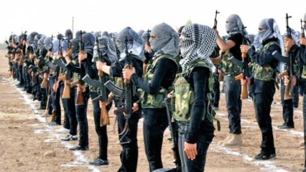 Neutralizados dois terroristas do YPG na Síria, de origem estrangeira