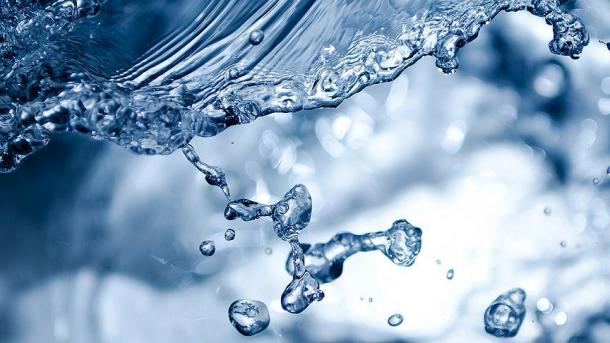 「菜食生活は水の節約、環境にやさしい」 英仏独の調査で明らかに