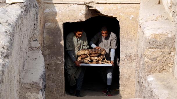 misir giza kazi2.jpg