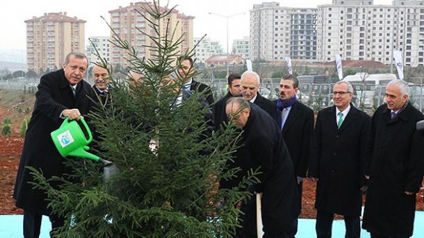 آغاز نهال شانی داوطلبانه در ترکیه با پیشگامی اردوغان