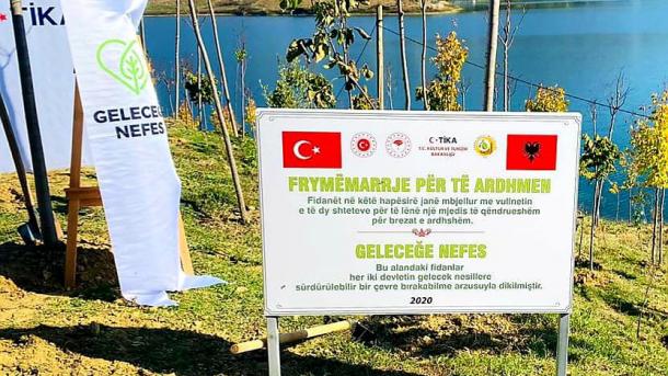 Agjenda shqiptare – Zhvillimet kryesore të javës (46/2020)