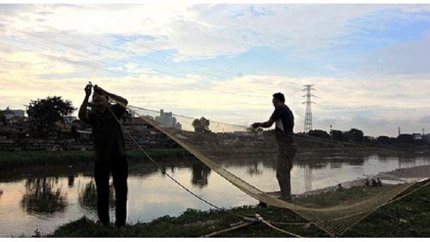 Beratus- Ratus Orang di Jakarta Mencari Makan Dari Sungai Yang Tercemar