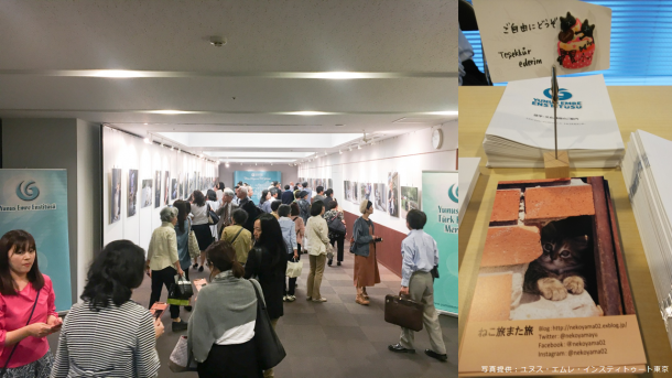 トルコでの猫との素敵な出会いをシャッターに 「ねことるこねこ」写真展 東京で開催
