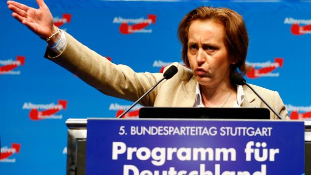 Alternativa për Gjermaninë (AfD) kërkon të jetë forca e tretë politike e vendit