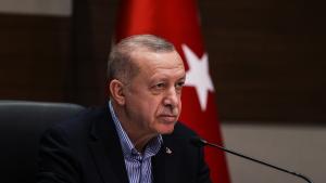 “Mientras Armenia resuelve sus problemas con Azerbaiyán, tomaremos las medidas necesarias”
