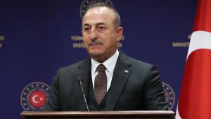 Cavusoglu zai ziyarci Jamus