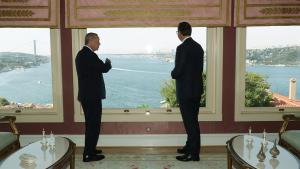 Presidenti Erdogan dhe homologu serb, Aleksandar Vuçiç u takuan në Stamboll