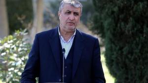 رئیس سازمان انرژی اتمی ایران: بازرسان آژانس مجاز به حضور در ایران هستند