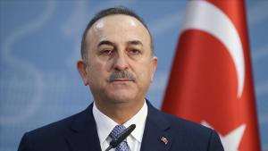 Чет өлкөдө коронавирустан каза тапкан түрк жарандары тууралуу...