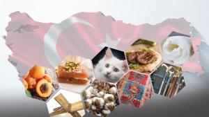 آثار به جغرافیایی به ثبت رسیده ای تورکیه- فرش دستباف برگاما