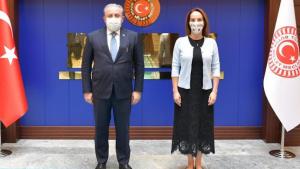 Mustafa Şentop, Parlamentara Bileleşigiň Başlygy Gabriela Barron Bilen Duşuşdy