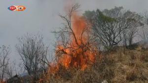 Incendios forestales en Perú amenazan al Campo de Protección de Vida Natural de Laquipampa