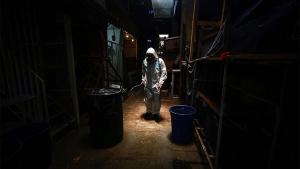 Coronavirus : plus de 6,5 millions de cas à travers le monde
