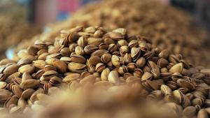 افزایش 76 فیصدی صادرات پسته تورکیه
