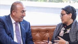 Mazungumzo ya Çavuşoğlu na Marsudi