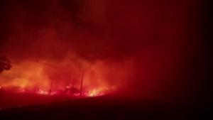 Los incendios forestales extremos se dispararán en los próximos años