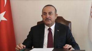 ჩავუშოღლუ ხვალ ბერლინის მეორე კონფერენციაში მიიღებს მონაწილეობას