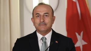 Il ministro Cavusoglu effettua diversi incontri a Seoul
