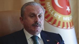Mustafa Șentop cu privire la masacrul a 300 de algerieni în Franța