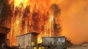 Incendii de vegetație în Siberia