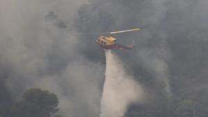 Waldbrand in Südfrankreich: 10 000 Menschen in Sicherheit gebracht