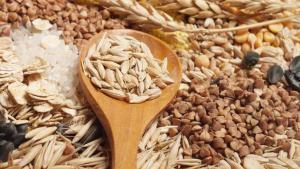 صادرات حبوبات و غله جات و دانه‌های روغنی از جنوب شرق تورکیه افزایش یافت