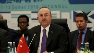 Çavuşoğlu asiste a la reunión de la Coalición Internacional de la Lucha contra el DAESH