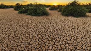 Erdogan va participa astăzi la Summitul privind clima