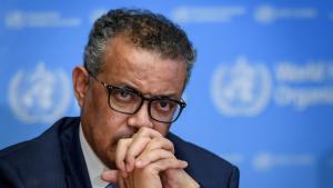 OMS: Cessate il fuoco, ora