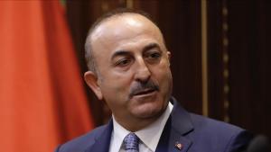 Cavușoglu, declarații