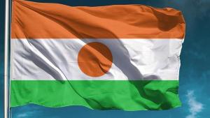 Niger : le gouvernement suspend les activités de l'ONG française Acted à Diffa