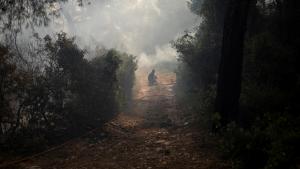 Países mediterrâneos combatem incêndios florestais