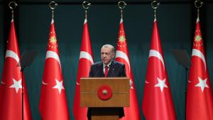 توگو آماده میزبانی از اردوغان است